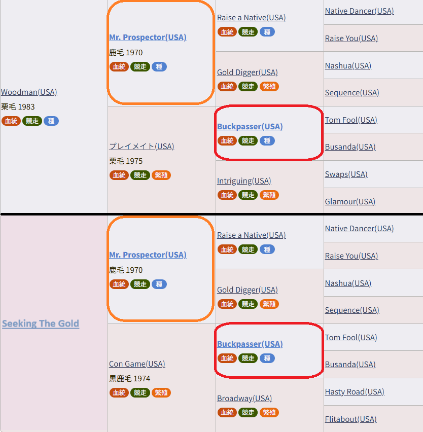 ウッドマンとシーキングザゴールド比較血統表