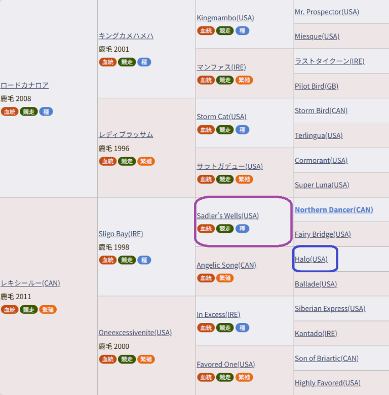 2024年ロードサラブレッドオーナーズ募集馬評価その1 ケイバ旅程