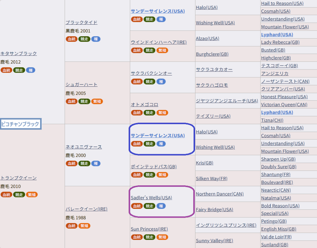 ピコチャンブラック血統表