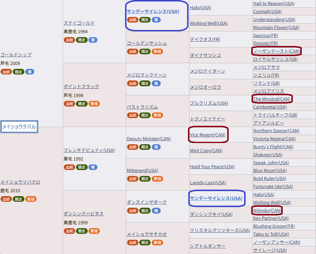 メイショウタバル血統表